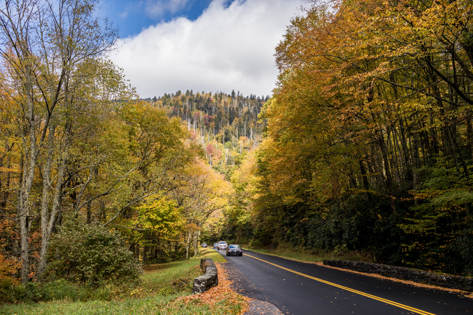 Equinox Explorations: Six Destinations for Fall and Spring Wonder