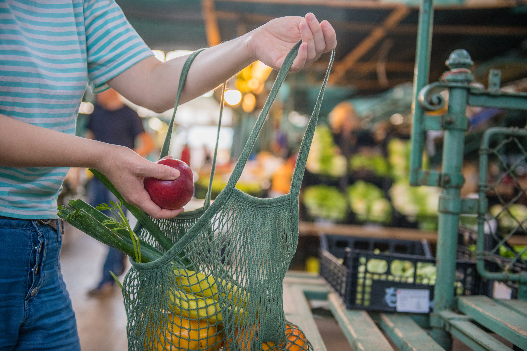 Sustainable Travel Tips from Local Perspectives