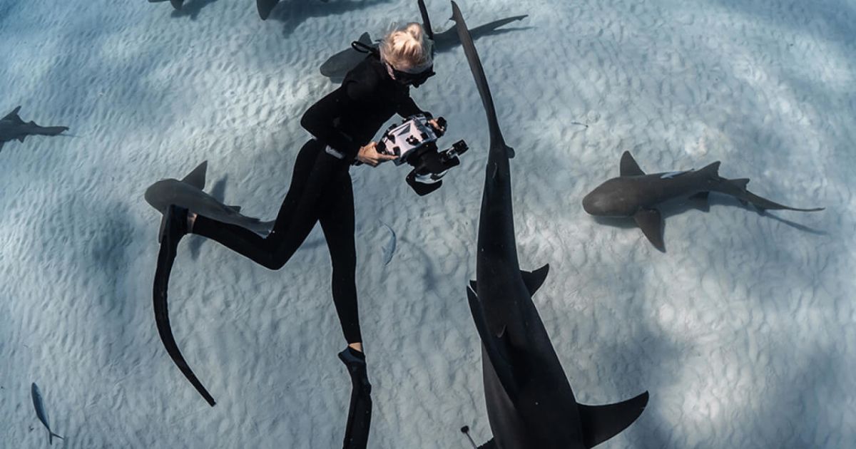 Guardians of the Reef: Transforming Fear into Fascination
