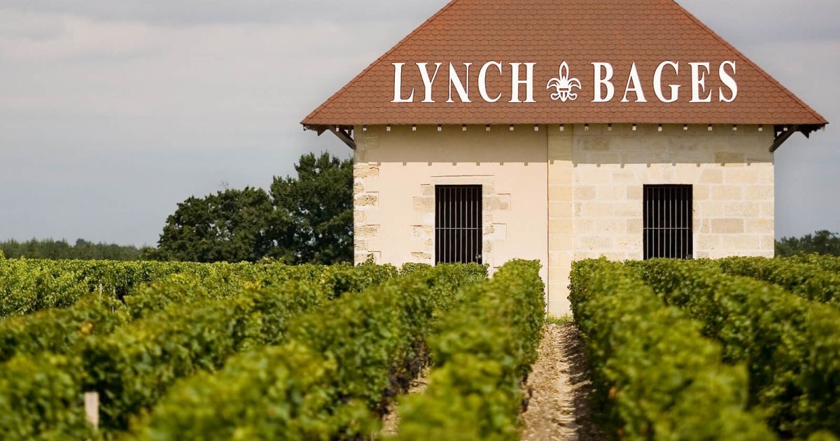 Pauillac: The Vineyard Heart of Bordeaux