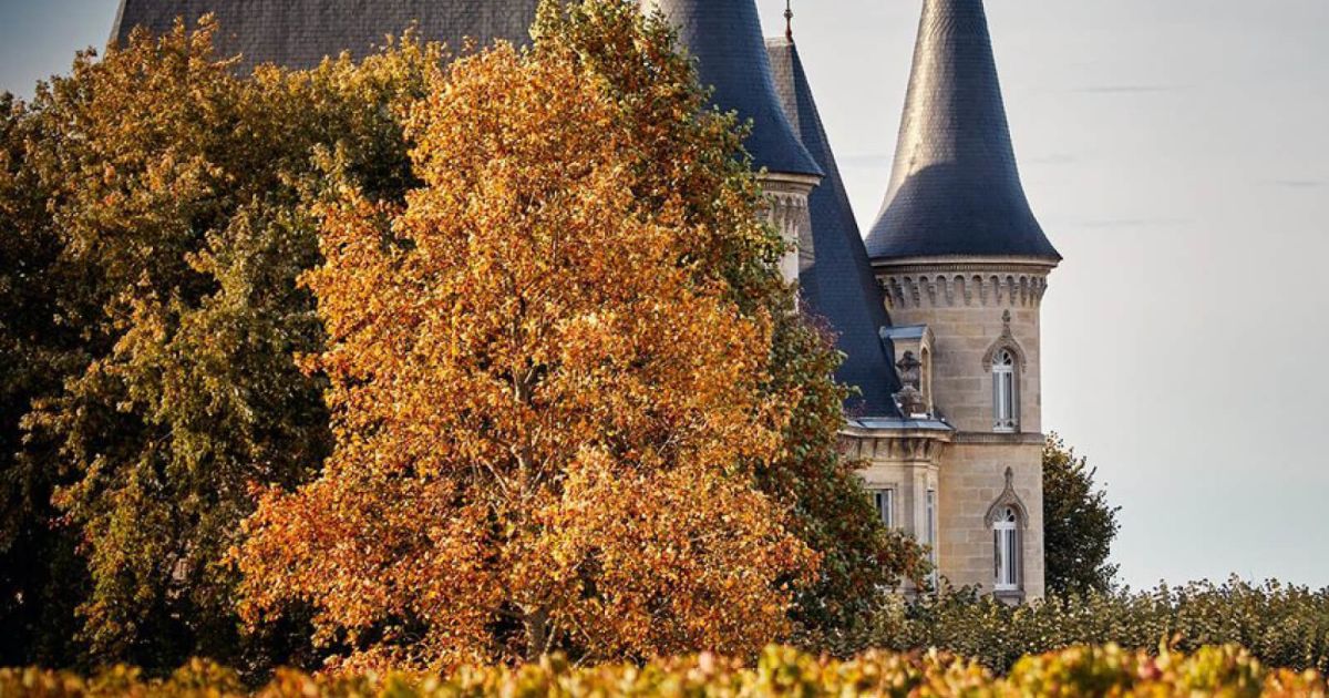 Discover Châteaux in the Médoc by Bicycle or Chauffeured Tour