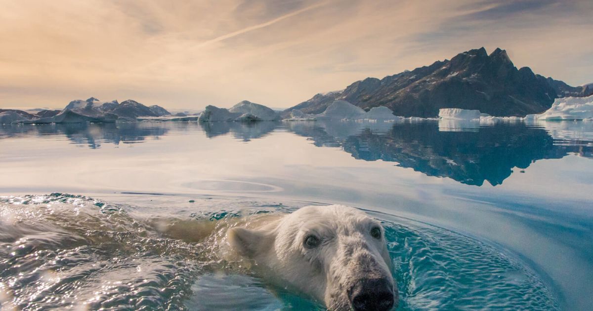 Exploring Svalbard's Arctic Wonders: COMO Journey