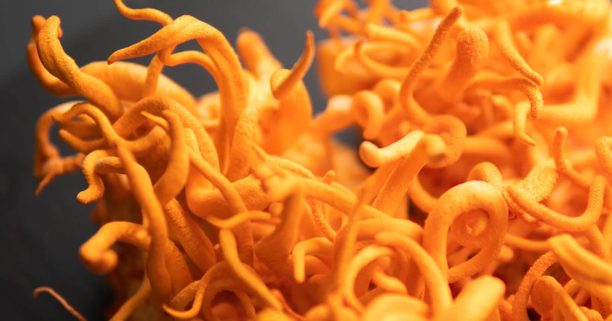 Bhutanese Delicacies: Cordyceps and Community