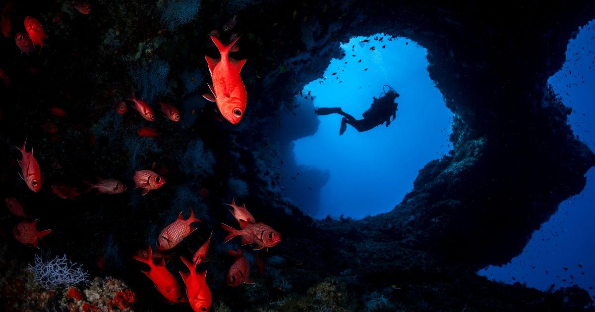 Discover Diverse Dive Sites in Thaa Atoll