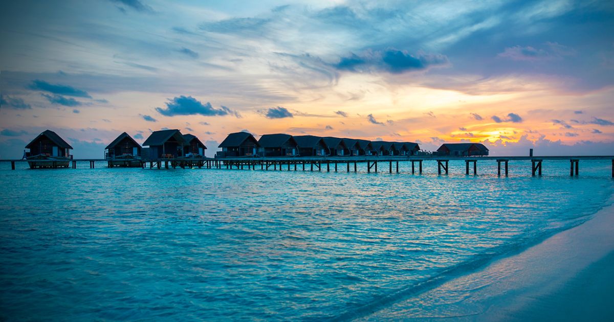 Experience Nightlife in the Maldives: COMO Cocoa Island and Maalifushi