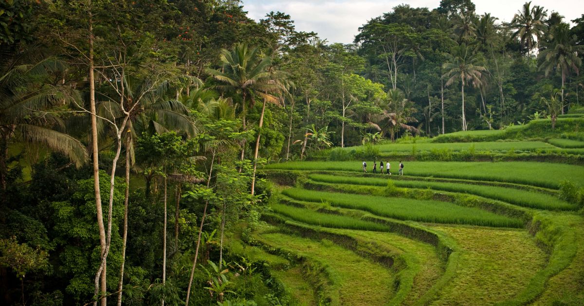 Top 5 Hiking Adventures at COMO Destinations