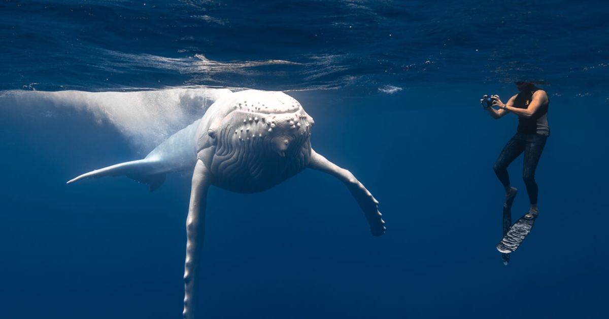 Maldives: Connecting with Nature’s Heartbeat