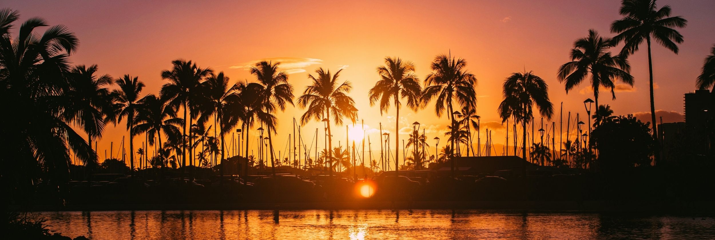 The White Lotus Effect: How TV Show Sparked Travel Trends